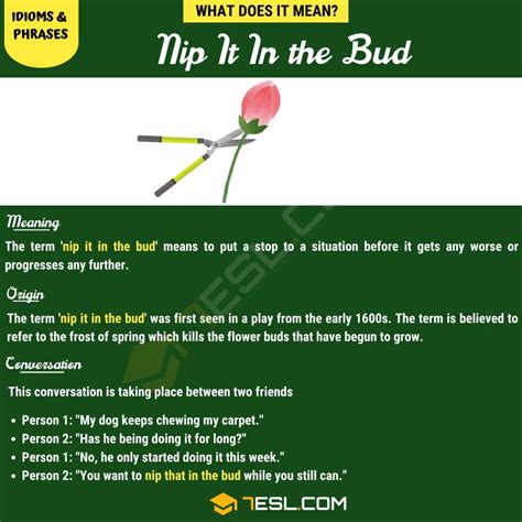 nipit meaning|'Nip It In The Bud' Meaning .